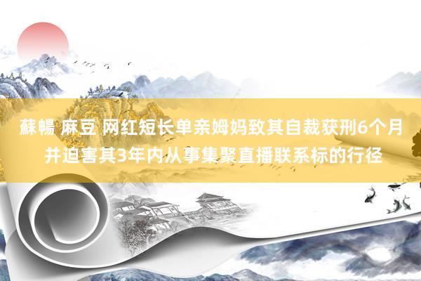 蘇暢 麻豆 网红短长单亲姆妈致其自裁获刑6个月 并迫害其3年内从事集聚直播联系标的行径