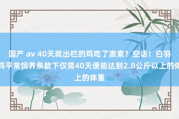 国产 av 40天就出栏的鸡吃了激素？空话！白羽肉鸡平常饲养条款下仅需40天便能达到2.8公斤以上的体重