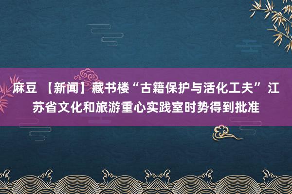 麻豆 【新闻】藏书楼“古籍保护与活化工夫” 江苏省文化和旅游重心实践室时势得到批准