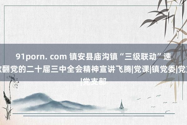 91porn. com 镇安县庙沟镇“三级联动”速即掀翻党的二十届三中全会精神宣讲飞腾|党课|镇党委|党支部