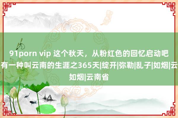 91porn vip 这个秋天，从粉红色的回忆启动吧！丨有一种叫云南的生涯之365天|绽开|弥勒|乱子|如烟|云南省